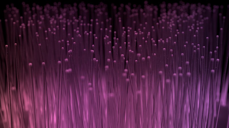 A closeup image of glowing purple fiber optic cables strands.